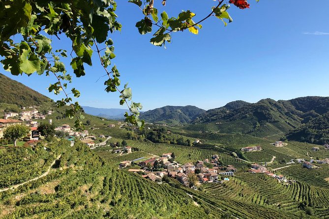 A Sparkling Day in the Prosecco Hills from Venice - Valdobbiadene Morning: Winery Time and Four Tastings