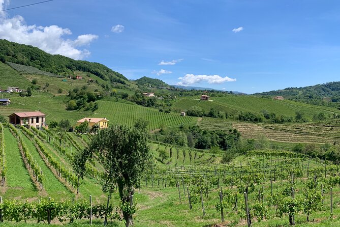A Sparkling Day in the Prosecco Hills from Venice - Pieve di Soligo Lunch: The Family Osteria and Spiedo
