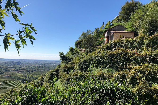 A Sparkling Day in the Prosecco Hills from Venice - Conegliano Afternoon Winery: DOCG Tastings and Ancient Vines