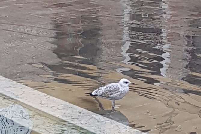 FriendInVenice: Experience the True Venice with a Private Tour - Bacaro Time: How to Eat Like You Belong