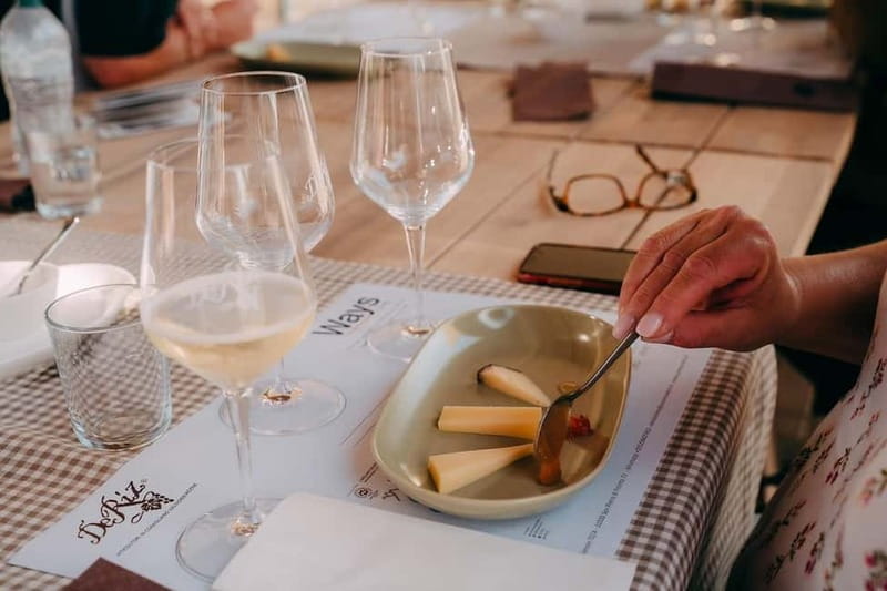 From Venice: Prosecco Hills and Wine Tasting Tour - Practical tips before you go