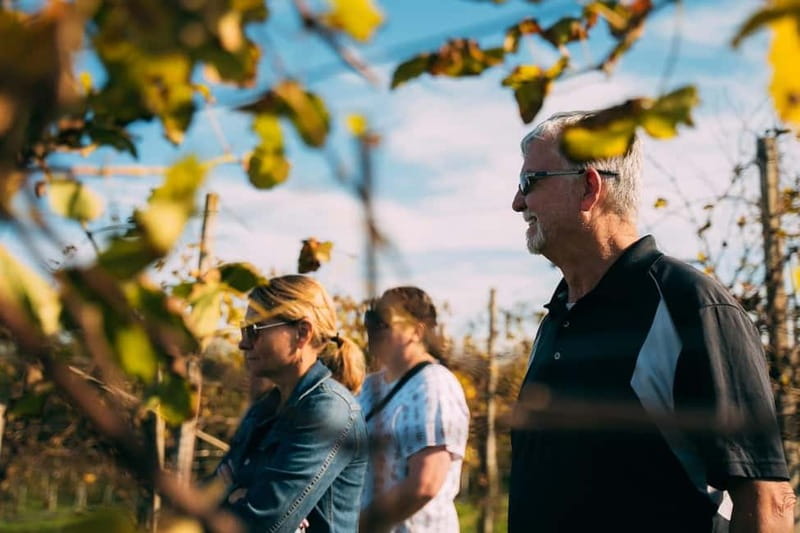 From Venice: Prosecco Hills and Wine Tasting Tour - Lunch, tastings, and pacing: how the day stays relaxed