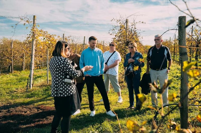 From Venice: Prosecco Hills and Wine Tasting Tour - The meeting point and the ride out: Piazzale Roma to the UNESCO zone