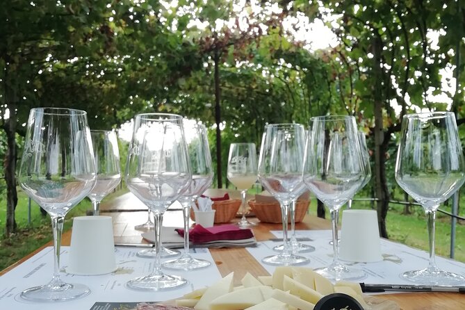 Full Day Wine Tour and Tasting in the Prosecco Region - The morning start: Piazzale Roma to the first winery tour