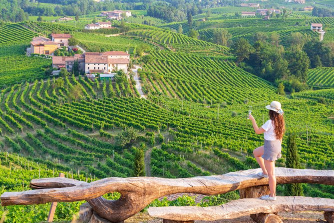 Premium Prosecco Hills Winery Tour with Prosecco Tastings & Food - Key highlights that make this tour worth your time