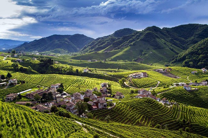Premium Prosecco Hills Winery Tour with Prosecco Tastings & Food - Venice to the Prosecco Hills: how the pacing actually works