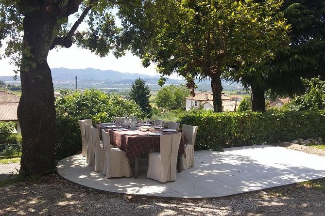 Premium Prosecco Hills Winery Tour with Prosecco Tastings & Food - The Prosecco angle: DOCG and the no-added-sulfites note