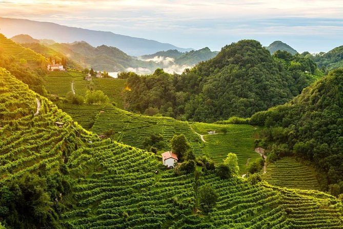 Premium Prosecco Hills Winery Tour with Prosecco Tastings & Food - Value for money: what you’re really paying for at $247.39