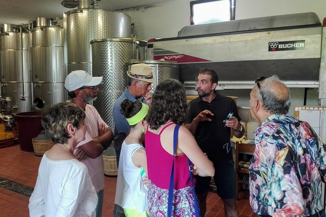 Premium Prosecco Hills Winery Tour with Prosecco Tastings & Food - Rain, timing, and comfort: what to watch so your day stays smooth