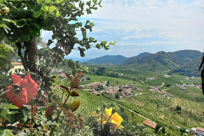 Prosecco Hills Day Trip from Venice & Treviso: 2 Wineries - Meeting Up in Venice, Then Rolling Toward the Hills