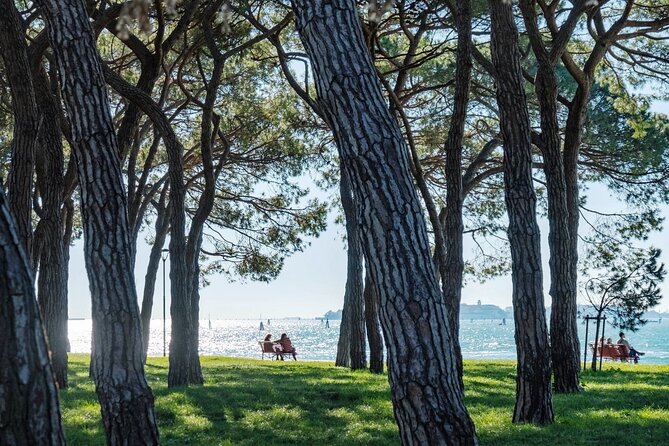 Punta Sabbioni to Venice Round-Trip Boat Ticket - The real sightseeing: Lido, Sant’Andrea, and Castello from the water