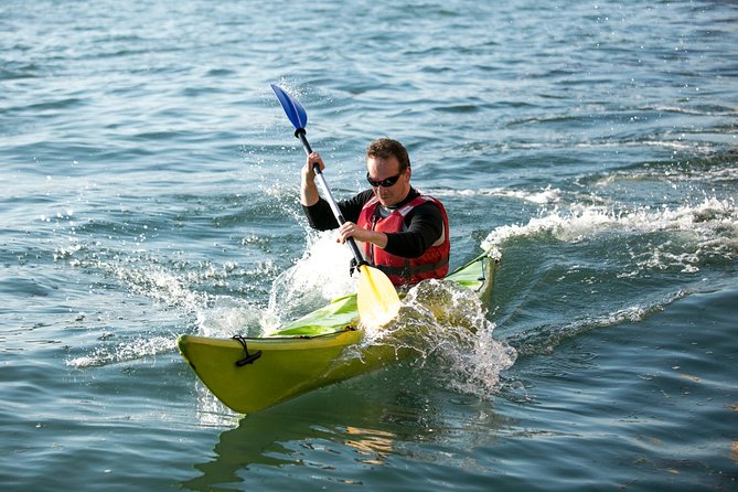 Real Venetian Kayak - Tour of Venice Canals with a Local Guide - Learning Venice While You Glide: What the Guide Points Out