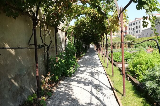 Secret Gardens of Venice Walking Tour - Stop 6: Giardino delle Vergini all’Arsenale with views over the docks