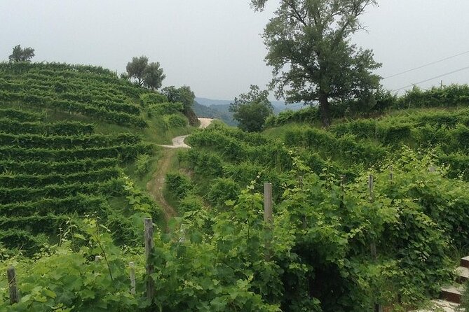 Small Group Prosecco Experience from Venice - Boutique Winery - Getting to Piazzale Roma and riding out through the region