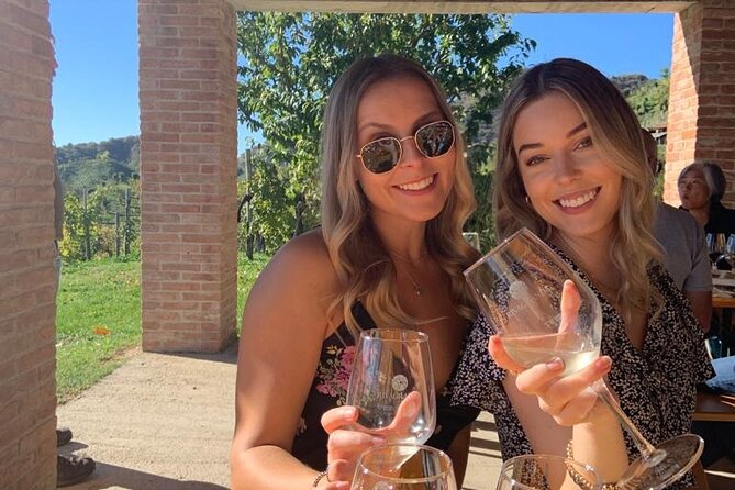 Small Group Prosecco Experience from Venice - Boutique Winery - Who this tour suits best (and who might consider an alternative)