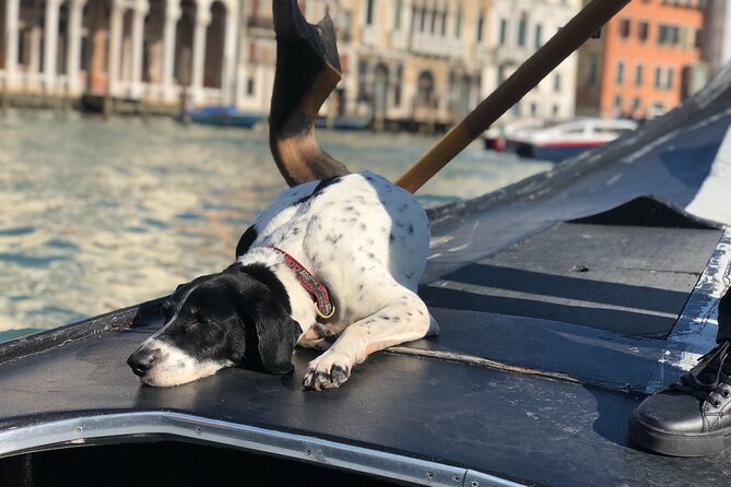 The Secrets of Venice - Private Tour - Ponte di Rialto and St. Mark’s Square: big sights, timed for momentum