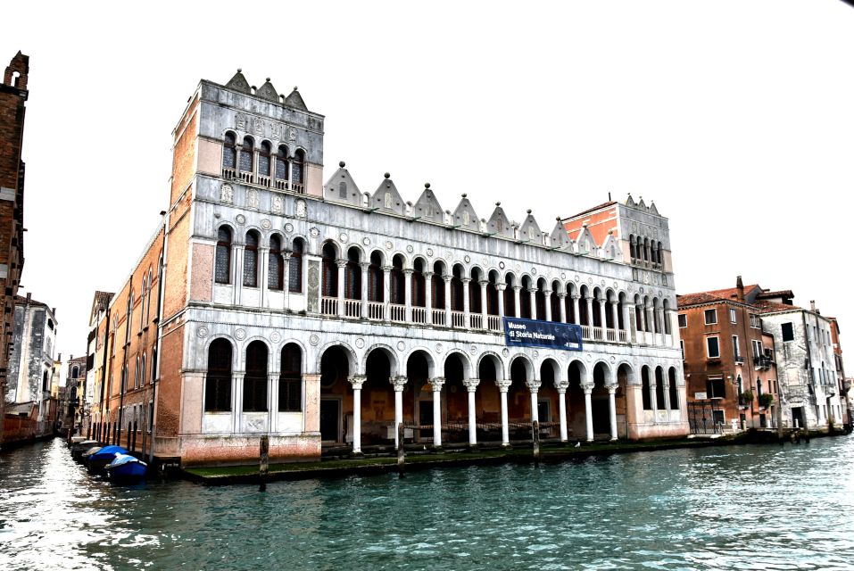 Venice: Natural History Museum Entry Ticket - Key highlights you’ll feel right away