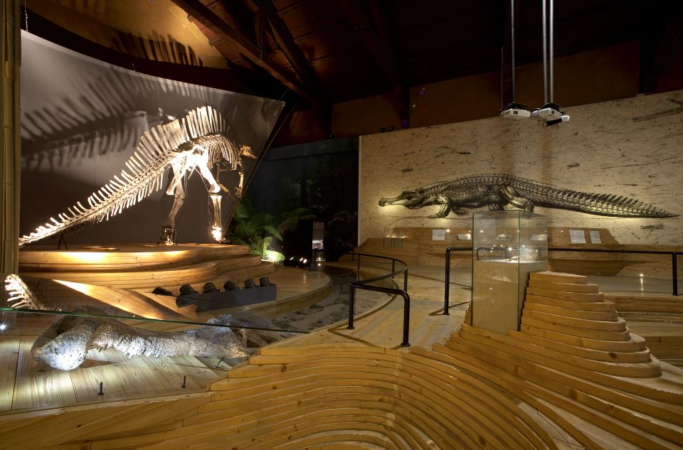 Venice: Natural History Museum Entry Ticket - Finding the Museum Fast on the Grand Canal