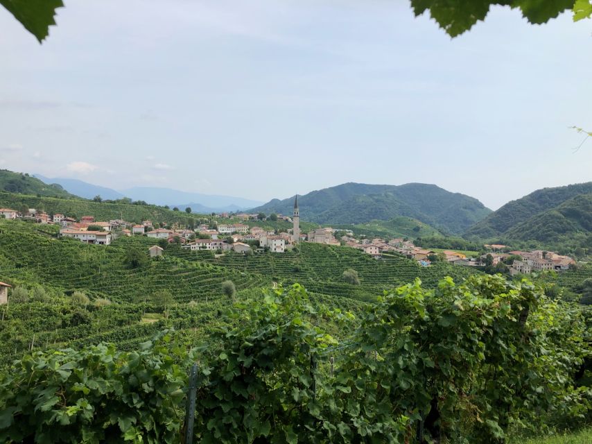 Venice: Prosecco Hills Wineries Tour with Tastings and Lunch - Key things that make this Prosecco Hills tour worth it