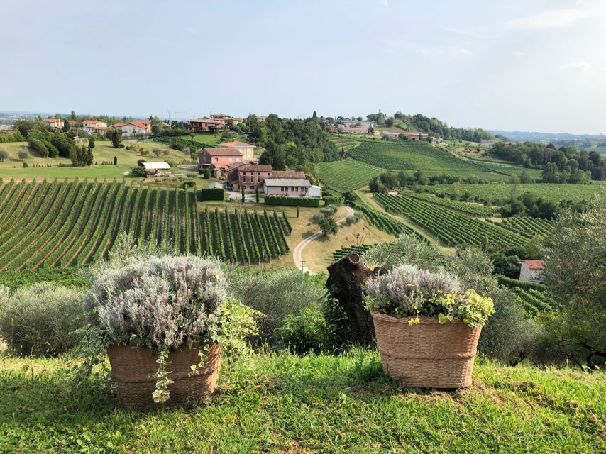Venice: Prosecco Hills Wineries Tour with Tastings and Lunch - Price and value: does $202.78 make sense?