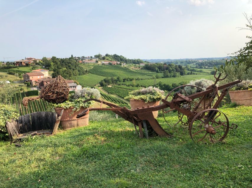 Venice: Prosecco Hills Wineries Tour with Tastings and Lunch - Venice to the Prosecco Hills: the train ride that actually helps