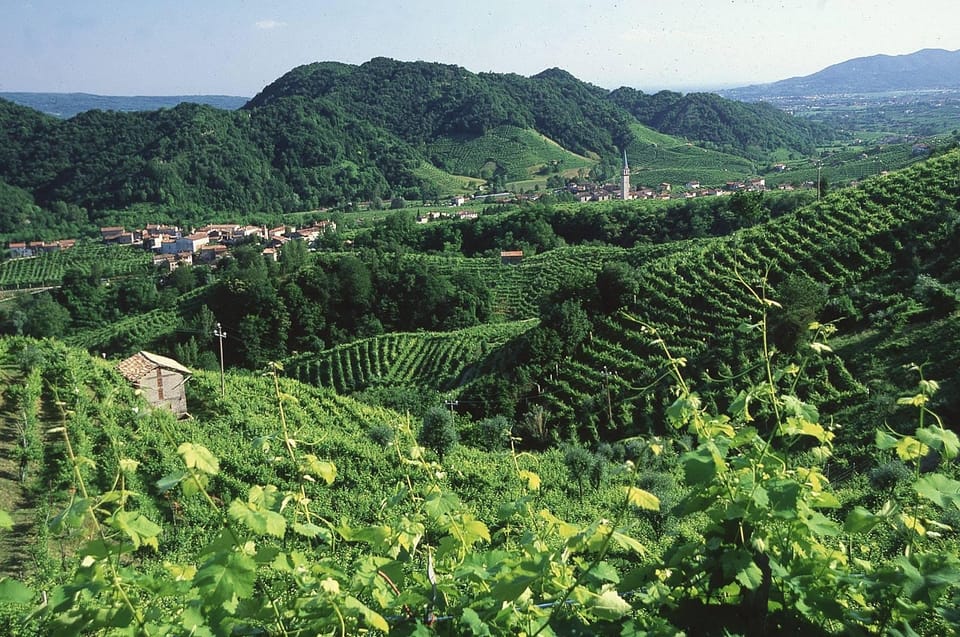 Venice: Prosecco Hills Wineries Tour with Tastings and Lunch - Family-owned Osteria lunch: spiedo, four courses, and homemade sweets