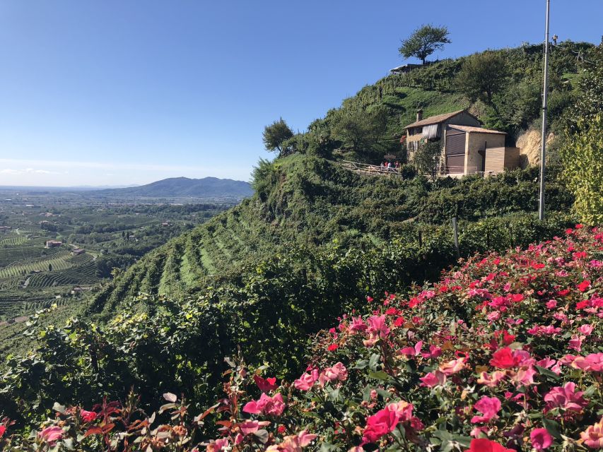 Venice: Prosecco Hills Wineries Tour with Tastings and Lunch - Second winery stop: DOCG Prosecco and ancient vine choices