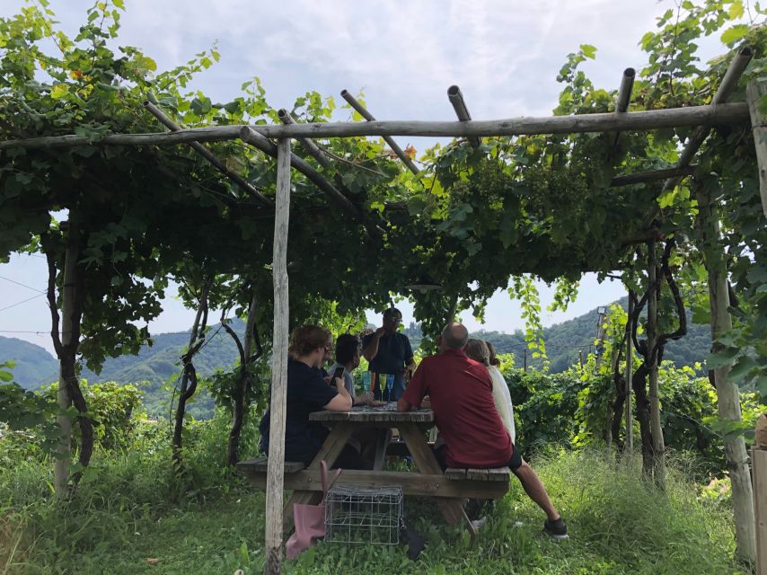 Venice: Prosecco Hills Wineries Tour with Tastings and Lunch - Tastings, structure, and why 8 total glasses isn’t just a number