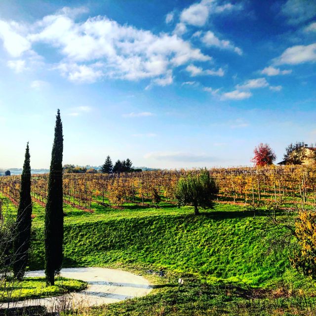 Venice: Prosecco Hills Wineries Tour with Tastings and Lunch - Guide quality: how Carlo, Julia, and Marco shape the day