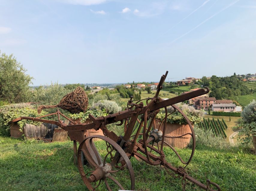 Venice: Prosecco Hills Wineries Tour with Tastings and Lunch - Small-group comfort and the “local day” feeling