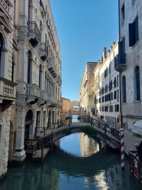 Venice: St. Mark's Basilica Tour with Doge's Palace Option - Group size, headsets, and how you’ll experience the day